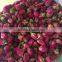 Supply dried rose buds Chinese rose tea best price