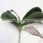 SJ013831 High quality real touch leaves from artificial phalaenopsis orchid flower/orchid leaves