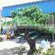 Artificial yacca trees for garden decoration