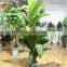 artificial bonsai flower tree for home/garden decor sale [ABF-14]( plant of ESTE )