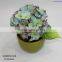mix color hydrangea potted