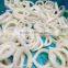 Frozen IQF Squid Ring in Bag Packing