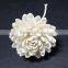 Sola Flower for Diffuser
