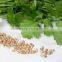 COARINDER OIL