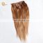 Factory Direct OEM 120 160 220 260grams set Double Drawn Clip in Hair Extension Full Head Set