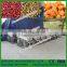 Dry way peanut peeling machine price / roasted peanut machine / roasted peanut peeling machine
