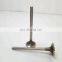 Hot Sale K19 Diesel Engine Spare Parts Exhaust Valve 3035110