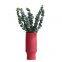 Red European Morandi Color Simple Modern Fashion Ceramic Plant Vase For Hotel Decor