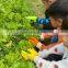 HANDLANDY Outdoor Grip Plant Boys Girls Children Hand Protection Nitrile Kids Gardening Gloves