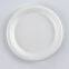 Disposable Biodegradable 10 INCH PLATE Take away Sugarcane bagasse party plate