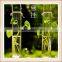 hanging glass flower water vase glass terrariums wholesale