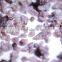Sandblasting 10-20 /12-20/8-20 Mesh Garnet sand B