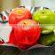 Stainless Steel Snack Dish Flounced Edge