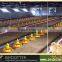 2015 hot sale Philippines poultry feeding line