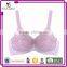Hot Design Elegant Young Lady Transparent Young Girls Lace Sexy Bra