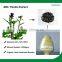 Ethanol Extracted Organic Milk Thistle Extract with Silymarin 50% HPLC