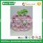 My First Year Baby Wood Picture photo Frame