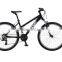China Supplier Mountain Bike for Philippines With Mountain Bike Full Suspension (PW-M26010)