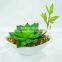 Mini Artificial White Ceramic Potted Echeveria Plant for Restaurant Table Decor