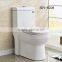 Sanitary Ware Washdown S-trap 250mm Saso Toilet Bowl One Piece wc Toilet