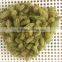 Hot sale Chinese AD dried green raisin