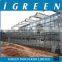 Venlo type flower multi span commercial greenhouse