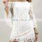 The new Europe lady lotus leaf collar sleeve lace skirt transparent part wear sexy beach dress