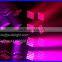RGBW 25pcs 4in1 led matrix moving head light