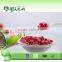 list of vegetables the tin can red kidney beans 425g