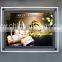 Wall mounted acylic display advertising light boxes led toilet sign light