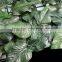 2014 new high quality artificial green fence