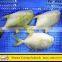 IQF Frozen Golden Pompano Fish with all size