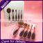 Cheapest 5pcs Rose Gold Toothbrush Shaped Oval Makeup Brush Set
