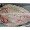 frozen silver carp whole Water Fish