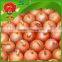 best quality onions in bulk for mcdonalds dehydrated onions