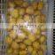 good quality wholesale peeled chestnut from china