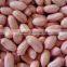 2015 New Peanut Kernel with whole price