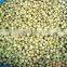 CHINA IQF gooseberry