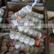 Natural Garlic peeling unpeeled fresh garlic import export wholesale