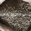 Wet Polished Robusta Green Coffee Beans Grade 1 Screen 18