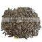 sunflower seeds 363
