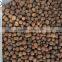 buy hydro clay pebble for vertical hydroponic garden