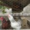 Plastic galvanized chicken cage for wholesales