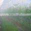 0.3L 60BAR Misting Machine / Water Misting Pump / Greenhouse Cooling Misting System