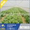 High-Quality Film Multi-Span Greenhouse, Arch-Type