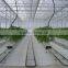 Hydroponics Greenhouse Multi Span Poly Film/PC Sheet