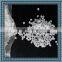 Polylactic Acid Resin /100% Biodegradable PLA Granule / PLA Plastic Raw Material