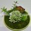 SJ0409032 Artificial wall plant indoor plastic green wall