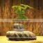 Unique magnetic suspension levitating plant pot