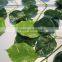 Home and outdoor garden table wedding christmas decoration 60cm or 2ft Height artificial colorfully maple leaf E06 0651